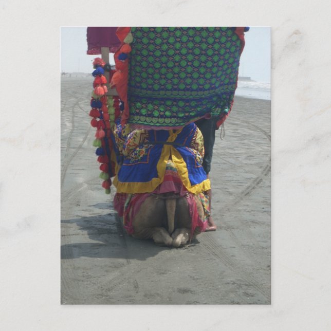 Cartão Postal Impressão/Gráfico Whimsical Camel Art (Frente)