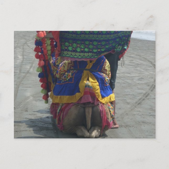 Cartão Postal Impressão/Gráfico Whimsical Camel Art (Frente)