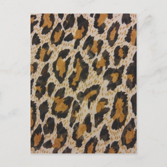 Cartão Postal Impressão Leopardo (Frente)