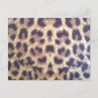 Cartão Postal Impressão Leopardo #36884
