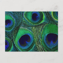 Cartão Postal Impressão / Padrão de Pavão Azul Verde Teal