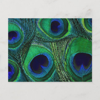 Cartão Postal Impressão / Padrão de Pavão Azul Verde Teal