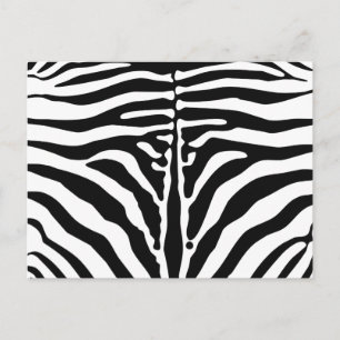Cartão Postal Impressão zebra