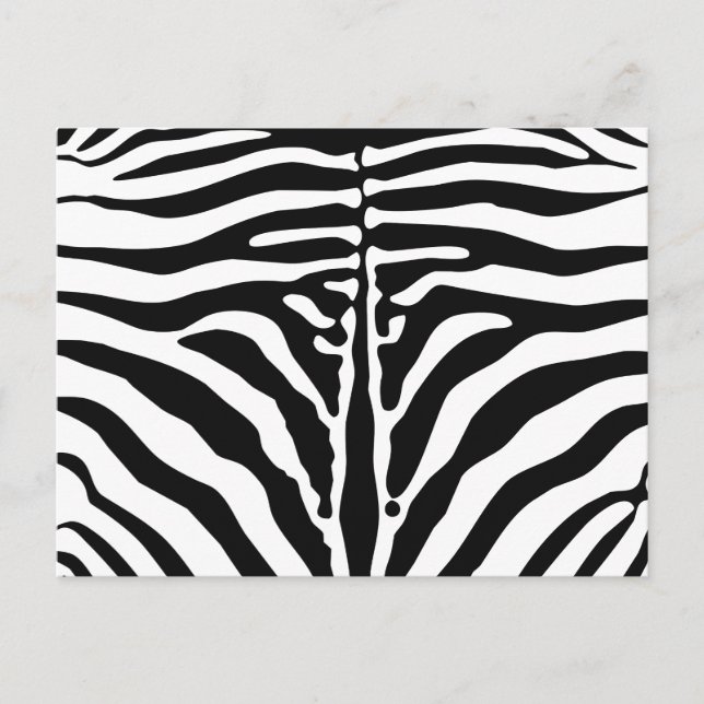 Cartão Postal Impressão zebra (Frente)