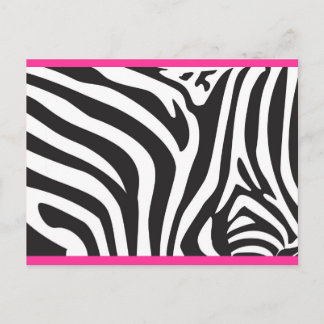 Cartão Postal Impressão Zebra