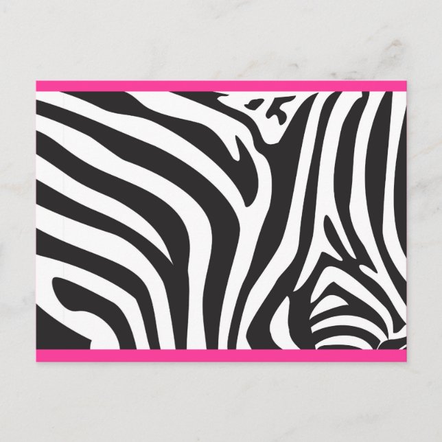 Cartão Postal Impressão Zebra (Frente)