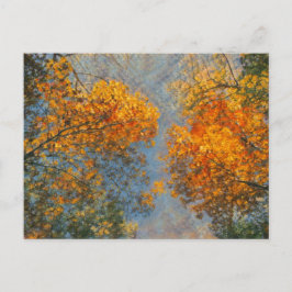 Cartão Postal Impressionismo de outono