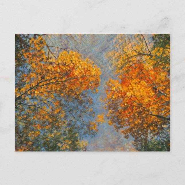 Cartão Postal Impressionismo de outono (Frente)
