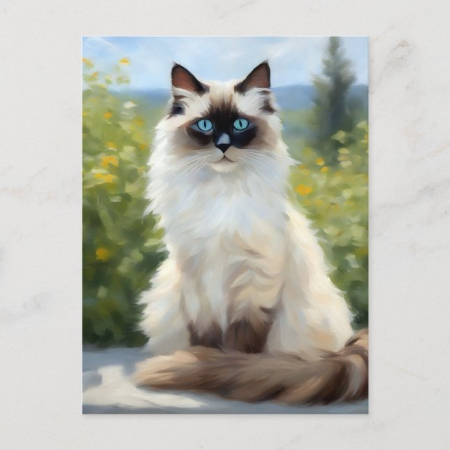 Cartão Postal Impressionista Serenity The Ragdoll (Frente)
