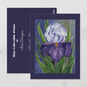 Cartão Postal Impressões Coletivos Iris Mini Roxos
