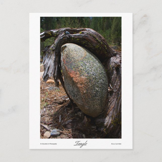 Cartão Postal Impressões de ângulo (Frente)