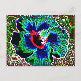 Cartão Postal Impressões de Hibiscus do Havaí com aprimoramento 