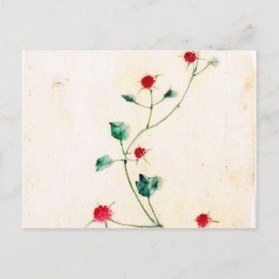 Cartão Postal Impressões Vintage Asiáticos