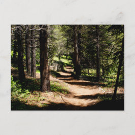 Cartão Postal In the Pines Postcard - Hiking near Winter Park CO