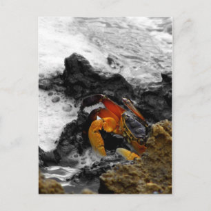 Cartão Postal Incêndio no mar