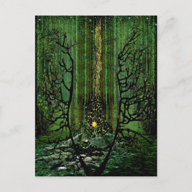 Cartão Postal Incêndio: Oração às Florestas (Frente)