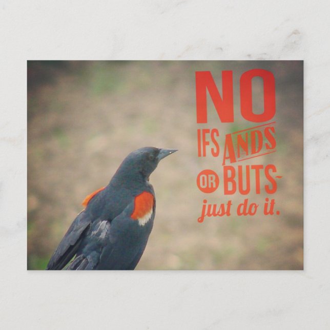 Cartão Postal Incentivo ao Melro (Frente)