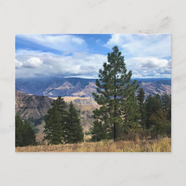 Cartão Postal Inclina o Canyon Ccenic Byway, OR (Frente)