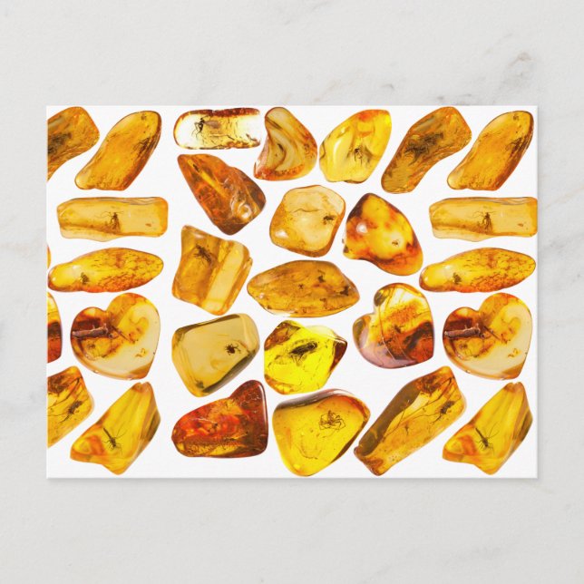 Cartão Postal Inclusão de pedra âmbar (Frente)