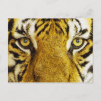 Incrível pintura de animais selvagens com olhos de