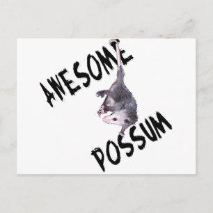 Cartão Postal Incrível Possum Ogambm