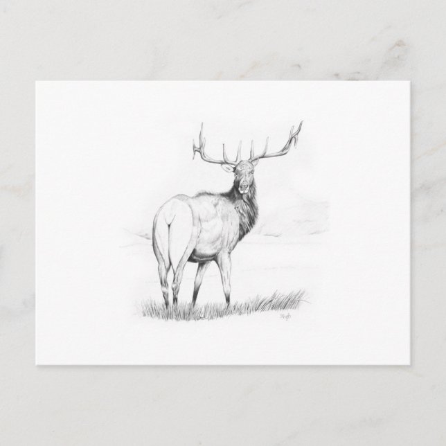 Cartão Postal Indecisão (Frente)