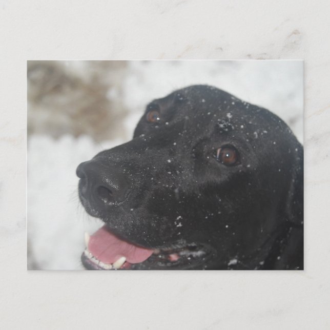 Cartão Postal indefinido (Frente)