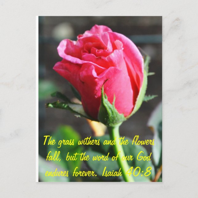 Cartão Postal indefinido (Frente)