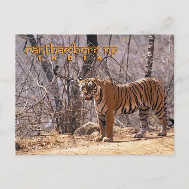 Cartão Postal Índia (Frente)