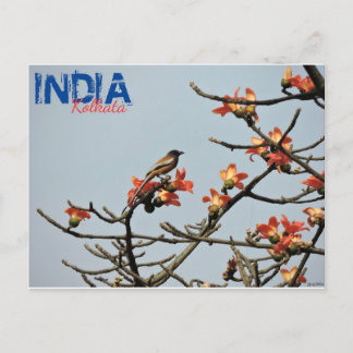 Cartão postal - Índia - Kolkata - Primavera indian