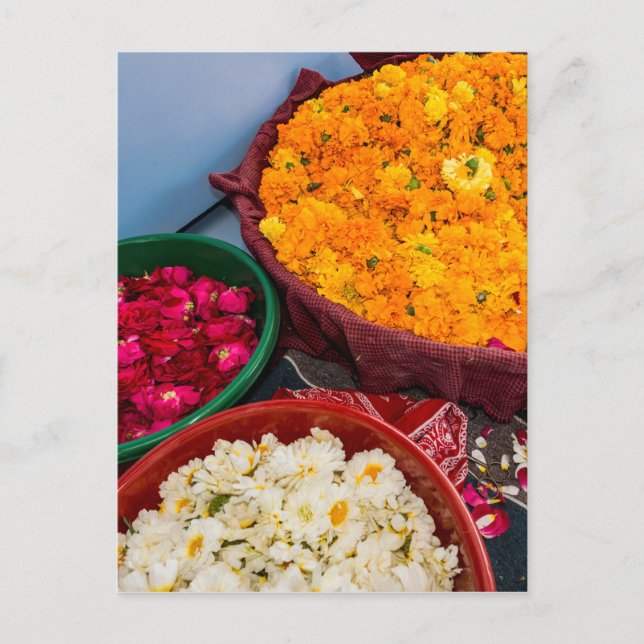 Cartão Postal Índia, Rajasthan, Pipar (Frente)