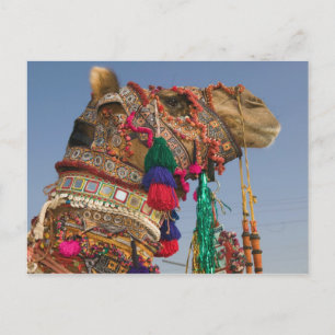 Cartão Postal ÍNDIA, Rajasthan, Pushkar: FEIRA DE CAMELÔS DE PUS