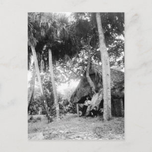 Cartão Postal Indian River, Florida Getaway: 1890