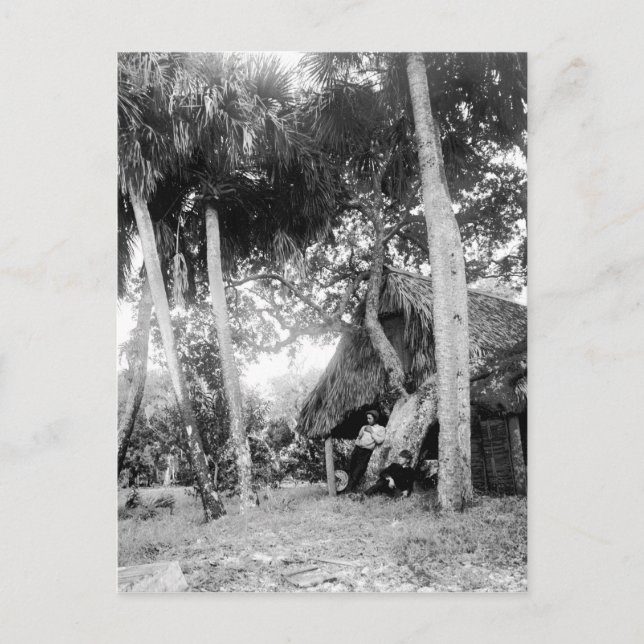 Cartão Postal Indian River, Florida Getaway: 1890 (Frente)