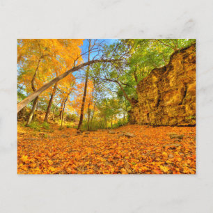 Cartão Postal Indian Village Canyon em Autumn, Columbus, Ohio