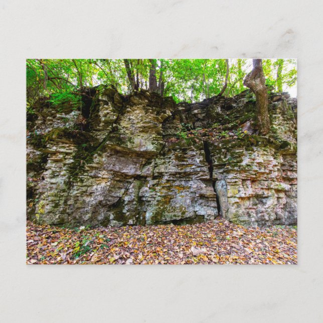 Cartão Postal Indian Village Canyon in Fall, Columbus, Ohio (Frente)