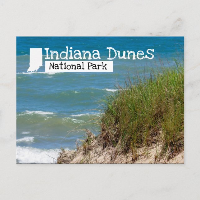Cartão Postal Indiana Dunes National Park Beach Dune (Frente)