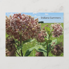 Cartão Postal Indiana Summers