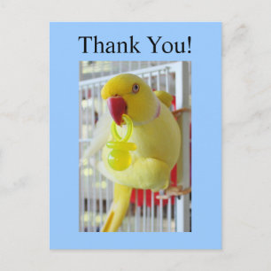 Cartão Postal Indiano Ringneck Obrigado Chá de fraldas