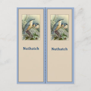 Cartão Postal Indicador de Pássaro Nuthatch bonito