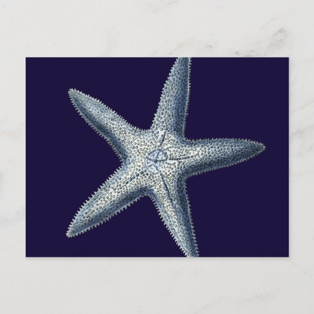 Cartão Postal Indigo Shells IV (Frente)