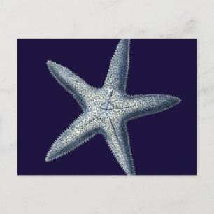 Cartão Postal Indigo Shells IV