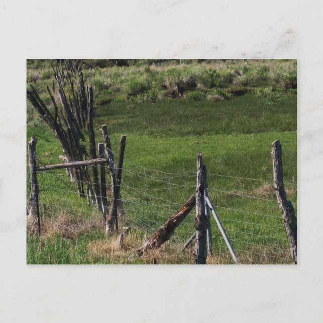 Cartão Postal Infância I (Frente)