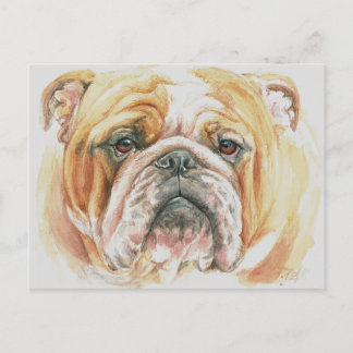 Cartão Postal Inglês Buldogdog Face Watercolor Painting