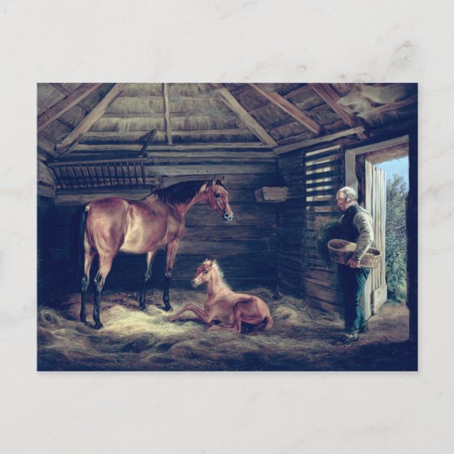 Cartão Postal Inglês Mare With Her Foals, 1833 (Frente)