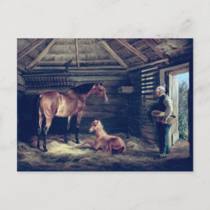 Cartão Postal Inglês Mare With Her Foals, 1833