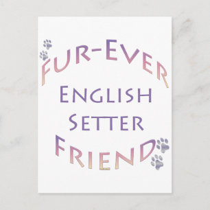 Cartão Postal Inglês Setter Fuere