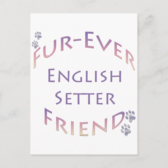 Cartão Postal Inglês Setter Fuere (Frente)