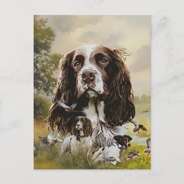 Cartão Postal Inglês Springer Spaniel (Frente)