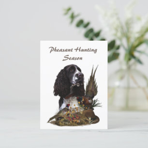 Cartão Postal Inglês Springer Spaniel com faisão